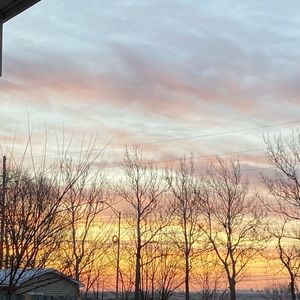 Meet your Posher, Callie